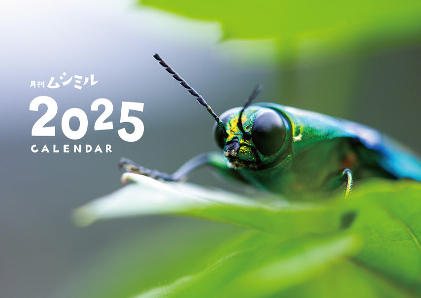壁掛けカレンダー 2025(ムシミル)