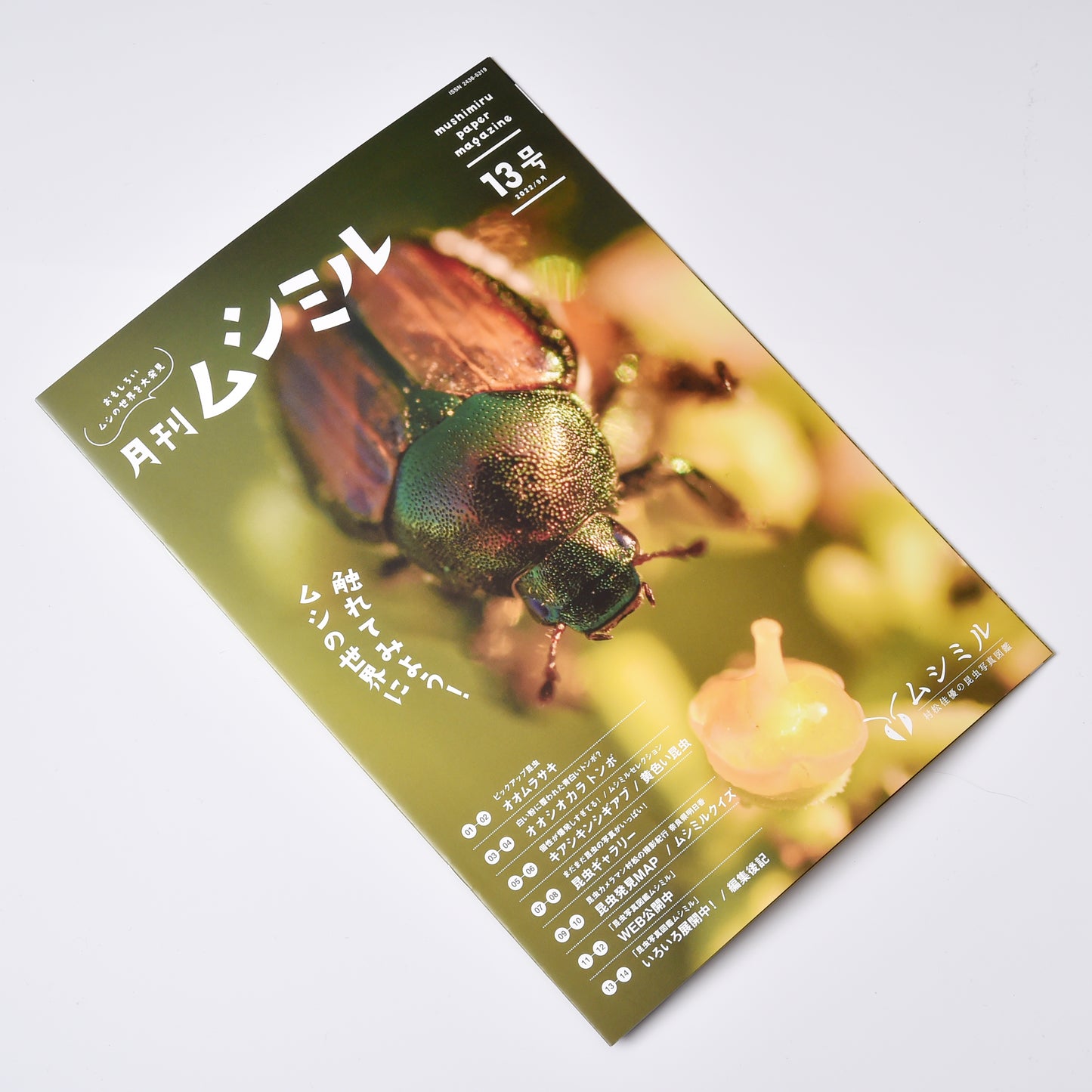 【13号】月刊ムシミル(2022.9)