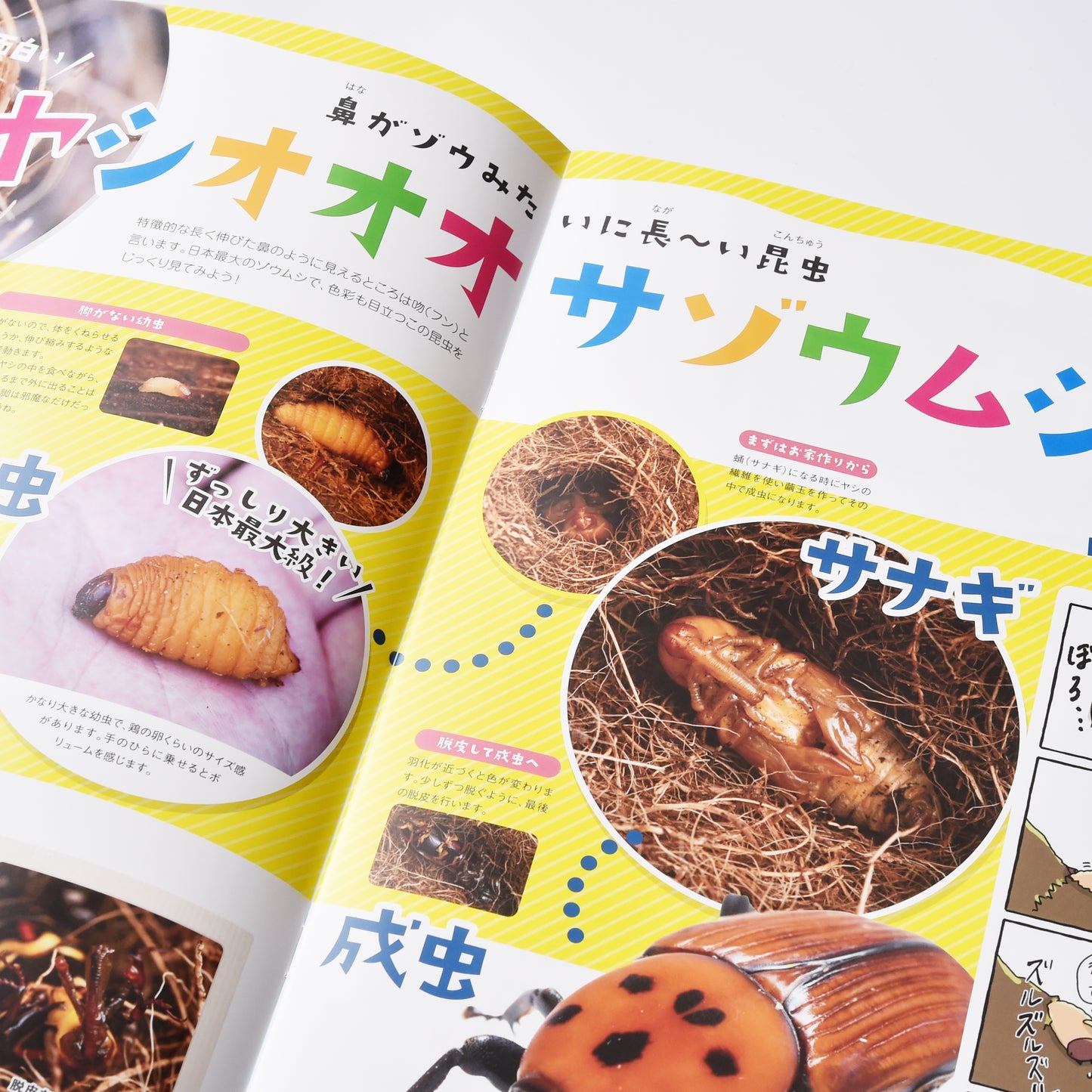 【14号】月刊ムシミル(2022.10)