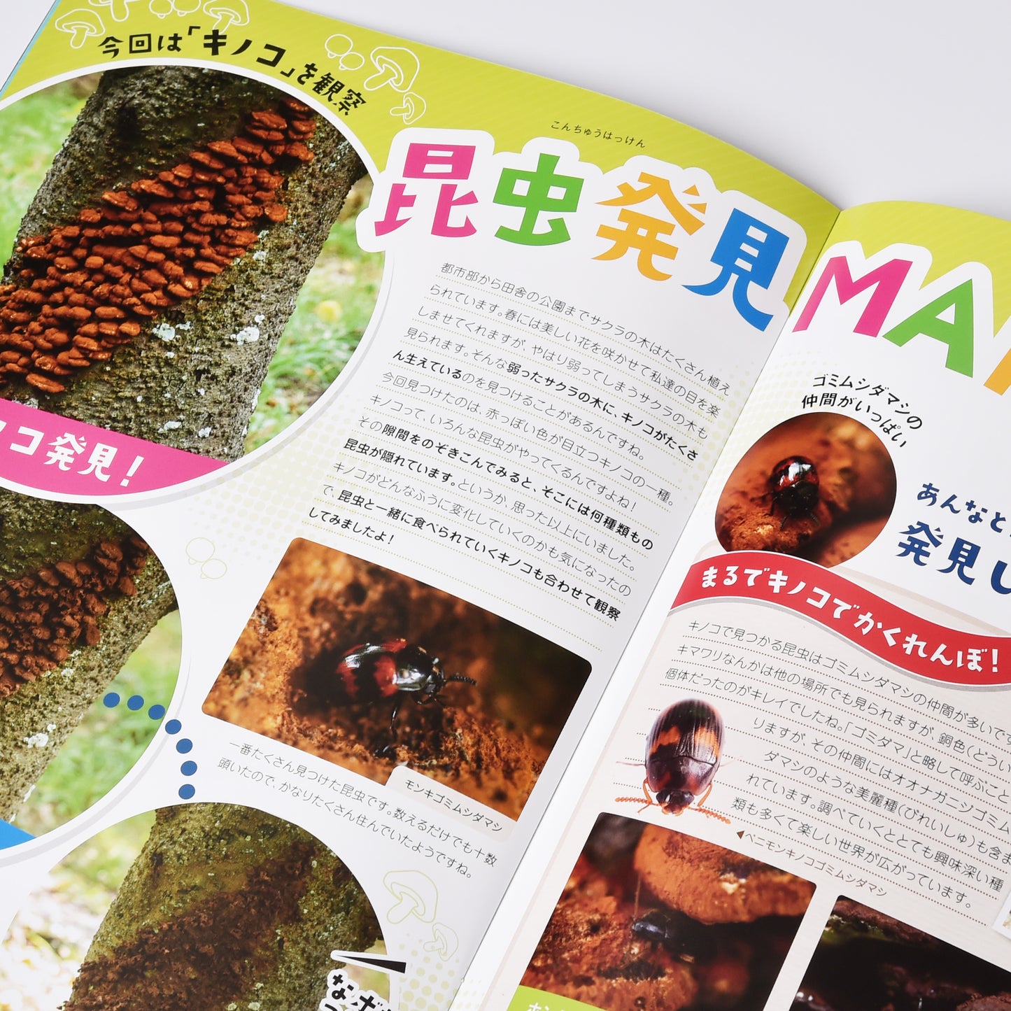 【16号】月刊ムシミル(2022.12)