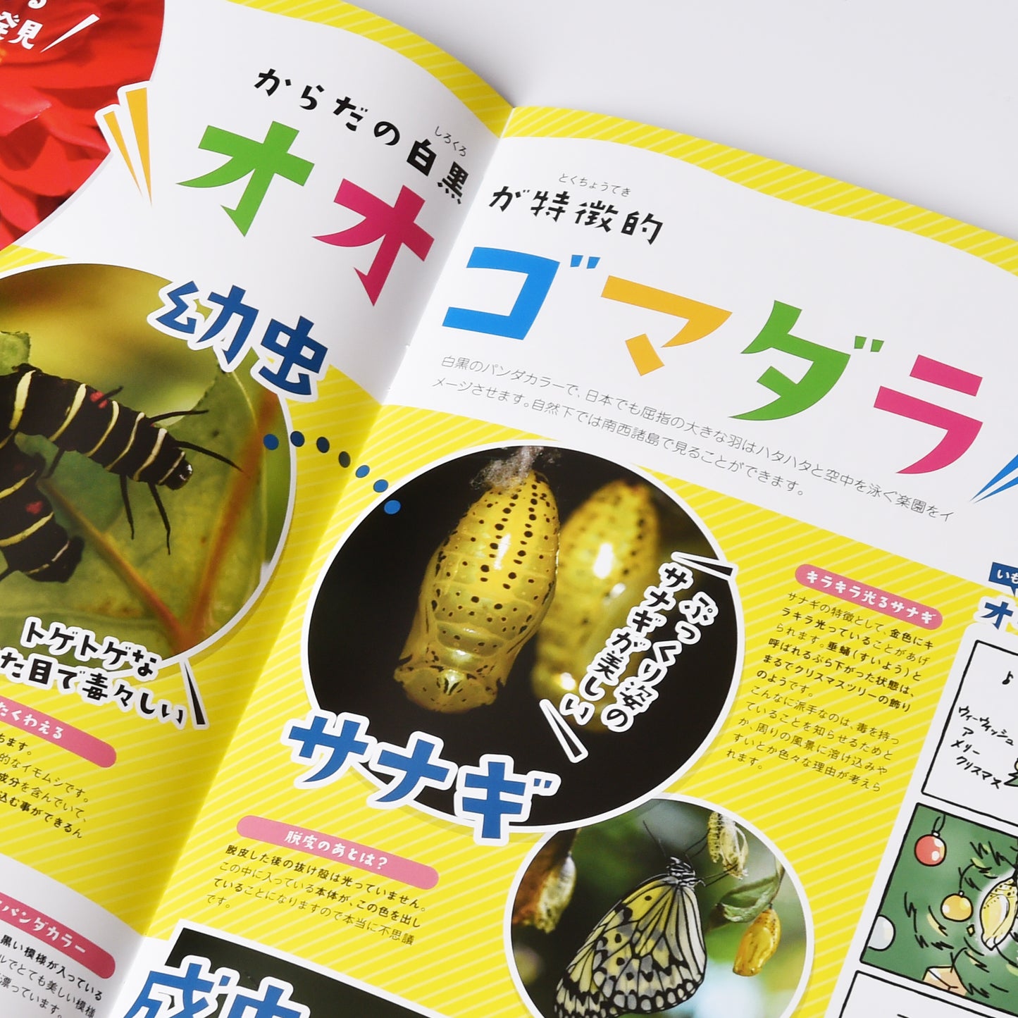 【17号】月刊ムシミル(2023.1)