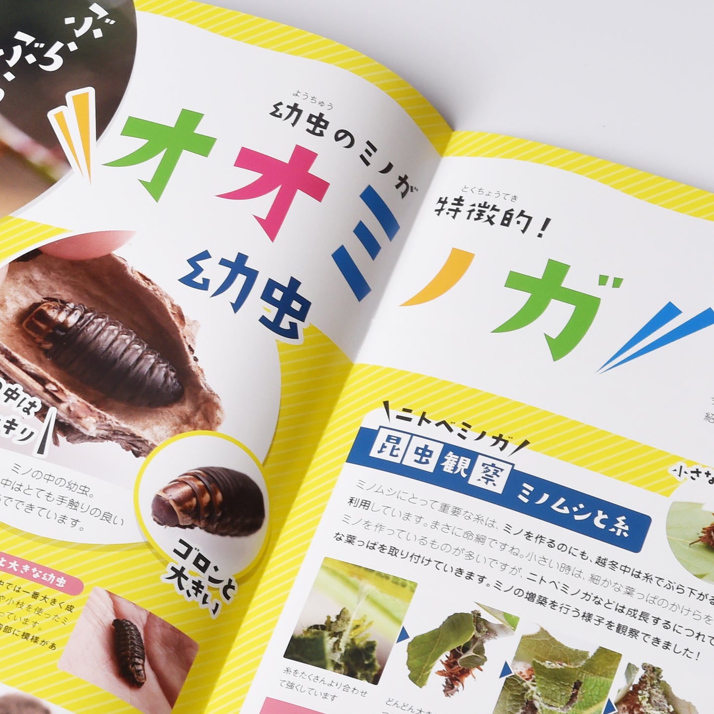【18号】月刊ムシミル(2023.2)