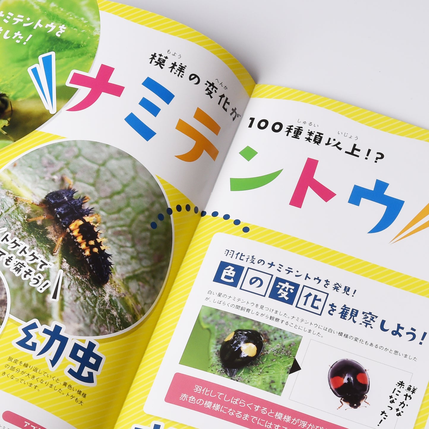 【19号】月刊ムシミル(2023.3)