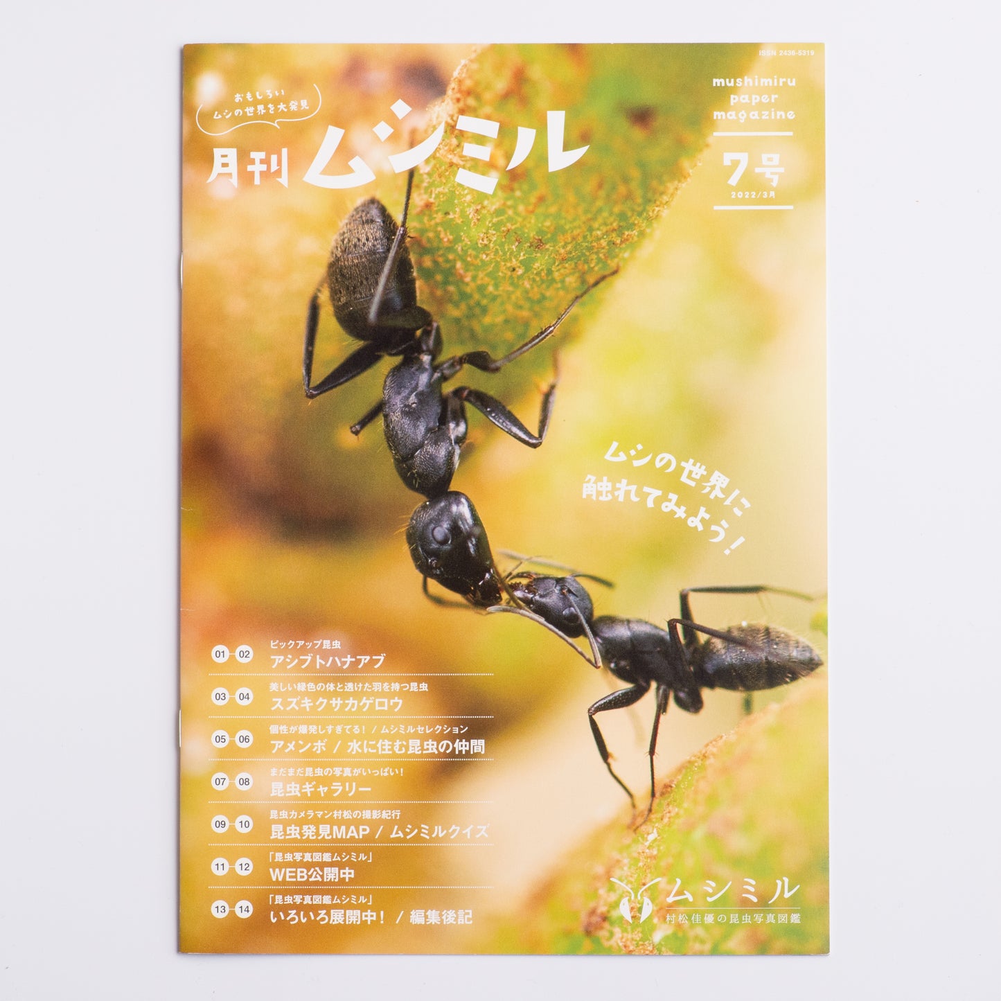 【7号】月刊ムシミル(2022.3)