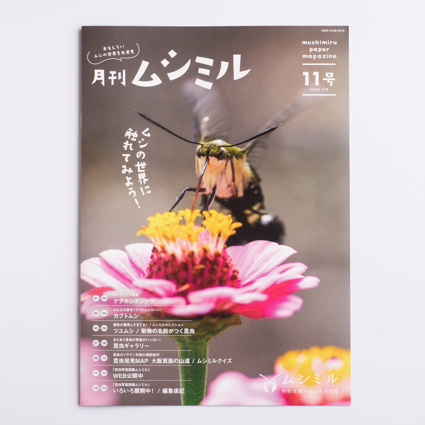 【11号】月刊ムシミル(2022.7)