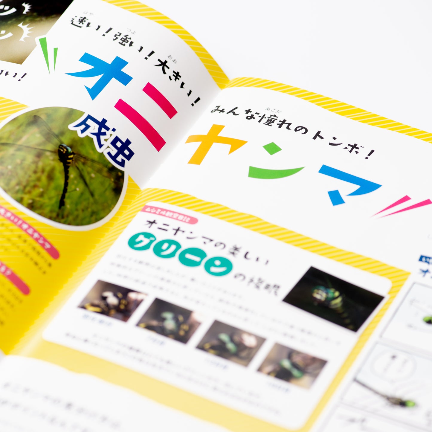 【3号】月刊ムシミル3号(2021.11)