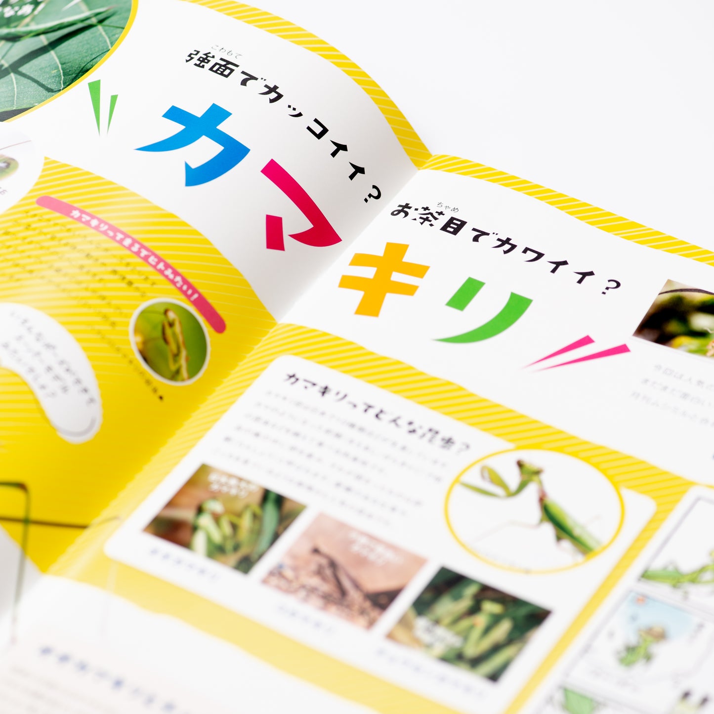 【4号】月刊ムシミル4号(2021.12)
