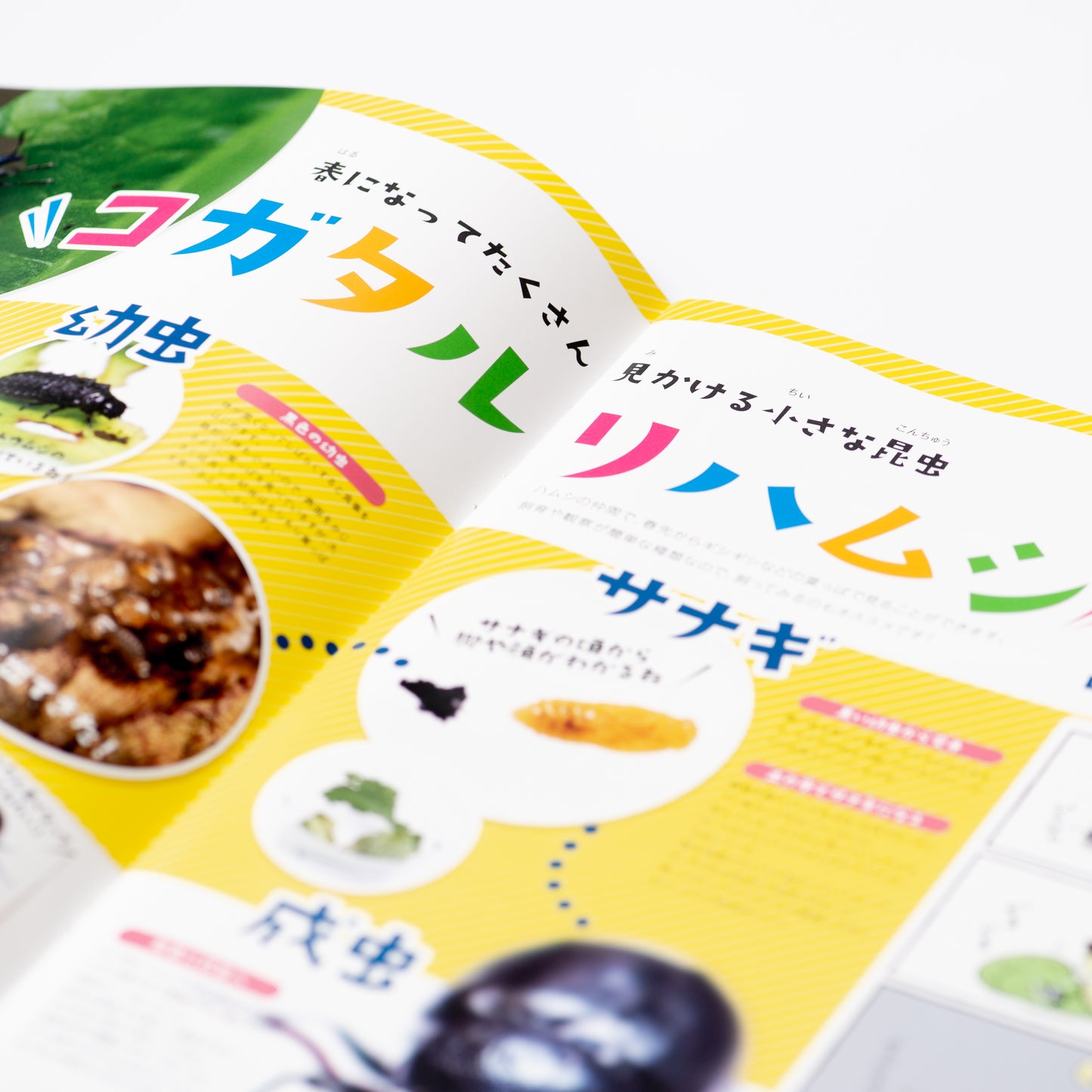 【9号】月刊ムシミル(2022.5)