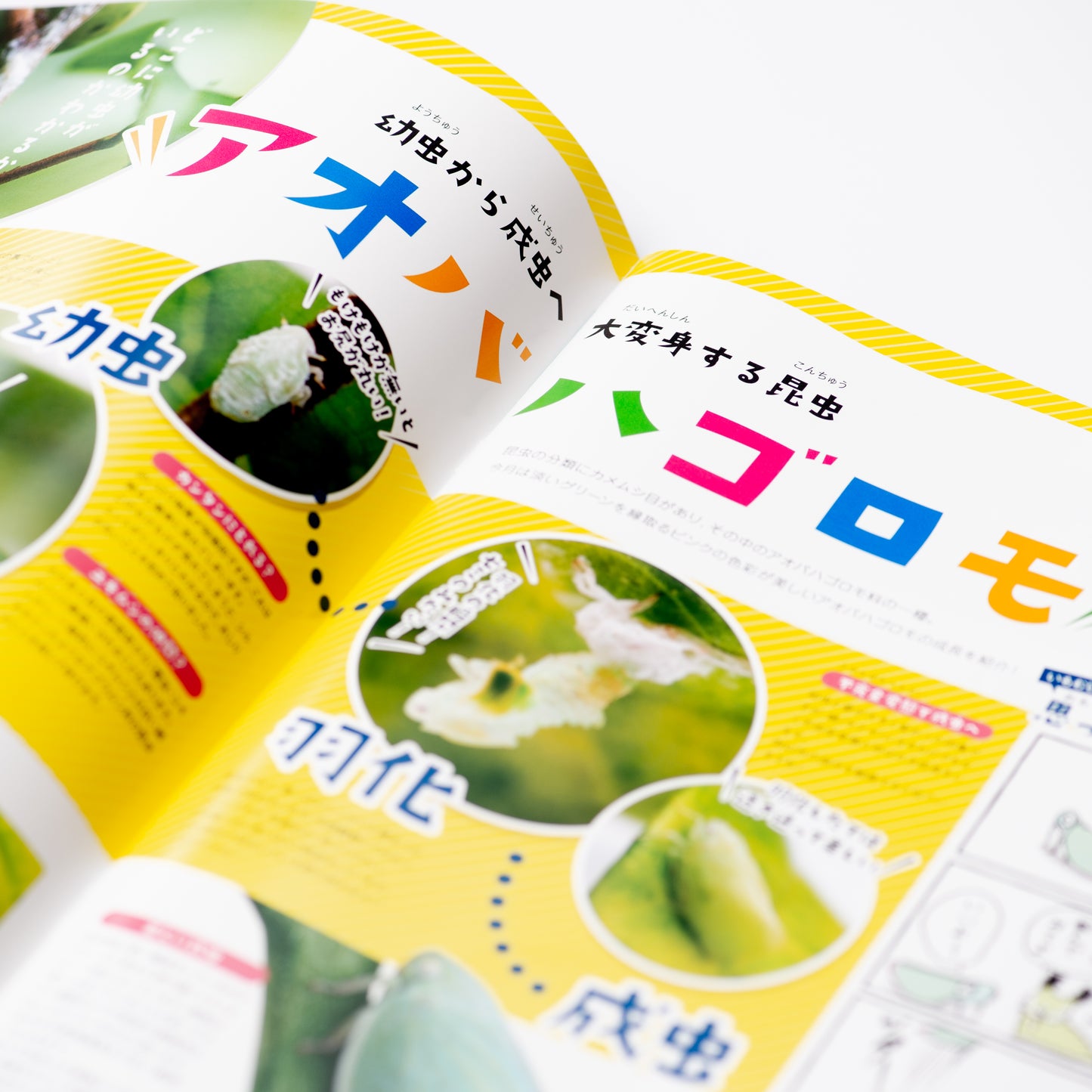 【10号】月刊ムシミル(2022.6)