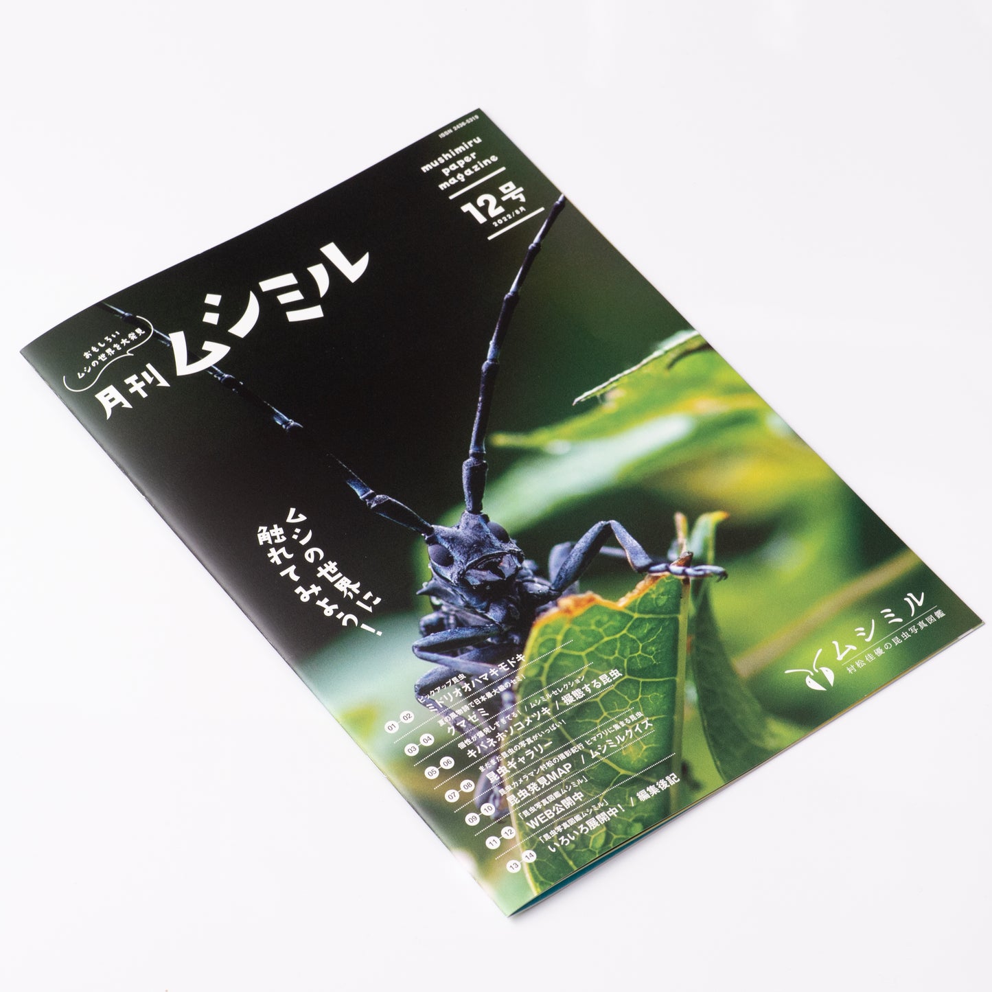 【12号】月刊ムシミル(2022.8)