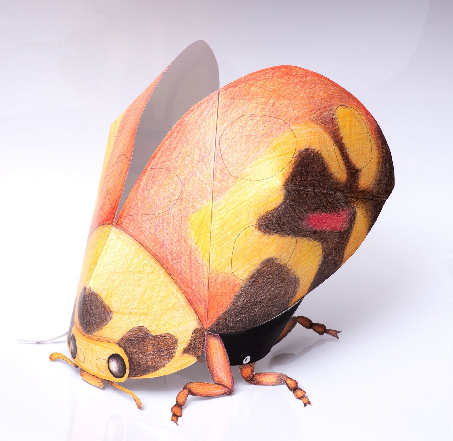 自分で作る!【ぬり絵タイプ】テントウムシのカブリモノ作成キット(10セット)