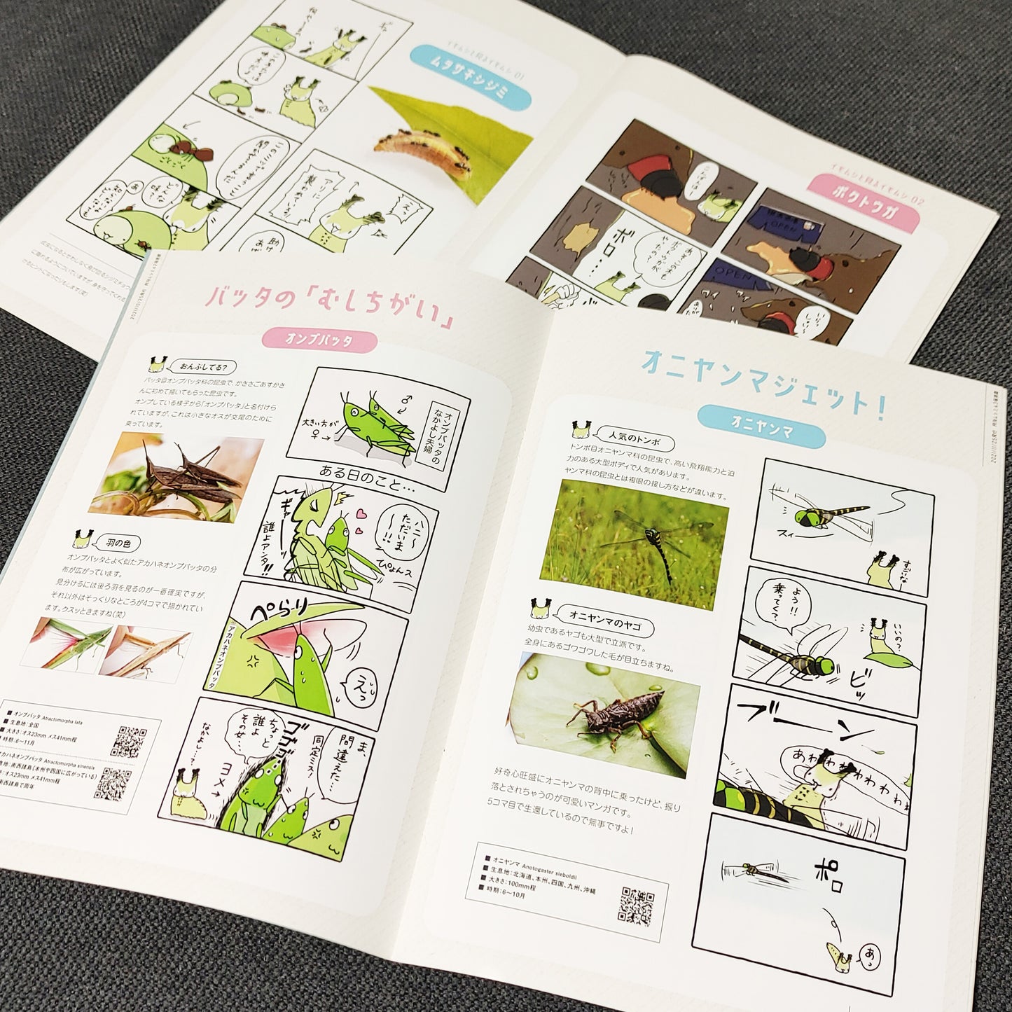 「いもむしと見るムシ!Vol.01」(月刊ムシミル×かささごあすかコラボブックレット)