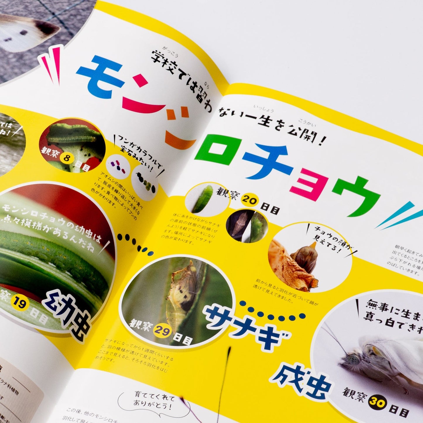 【スペシャルお試しセット-ふりがな】月刊ムシミル 0号+50号(ふりがな)に追加で3冊つけたお試しセット