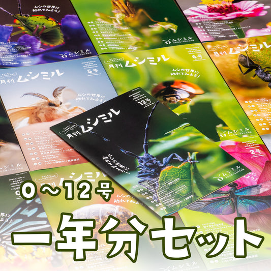 【一年分セット①】月刊ムシミル0～12号（13冊）2021年8月～2022年8月まで【送料無料】