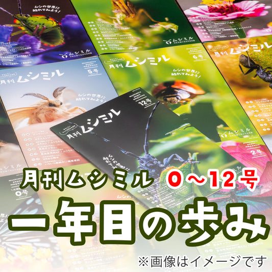 【一年目の歩みセット】月刊ムシミル0～12号（13冊）2021年8月～2022年8月まで【送料無料】