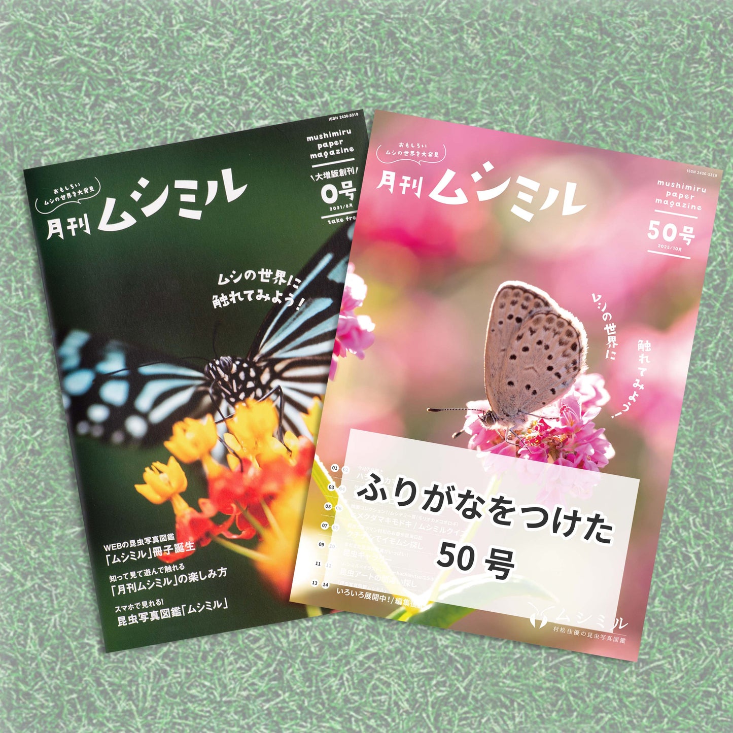 【お試しセット-ふりがな】月刊ムシミル 0号＋50号（ふりがな）のお試しセット