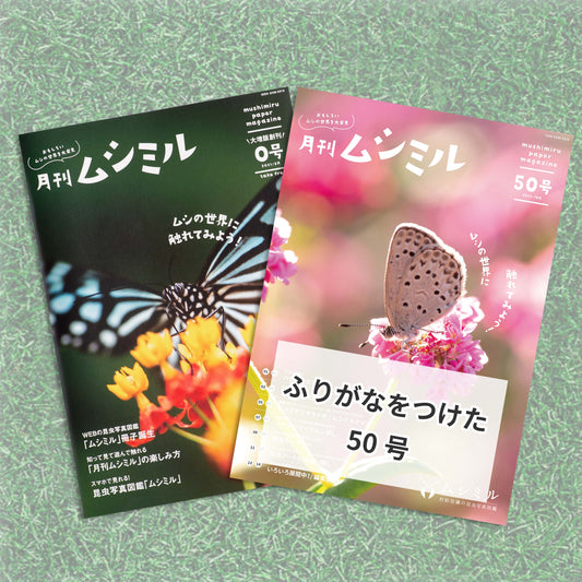 【お試しセット-ふりがな】月刊ムシミル 0号＋50号（ふりがな）のお試しセット