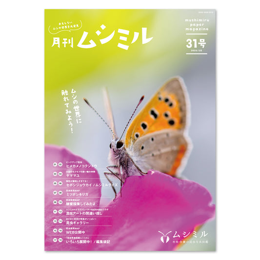 【31号】月刊ムシミル（2024.3）
