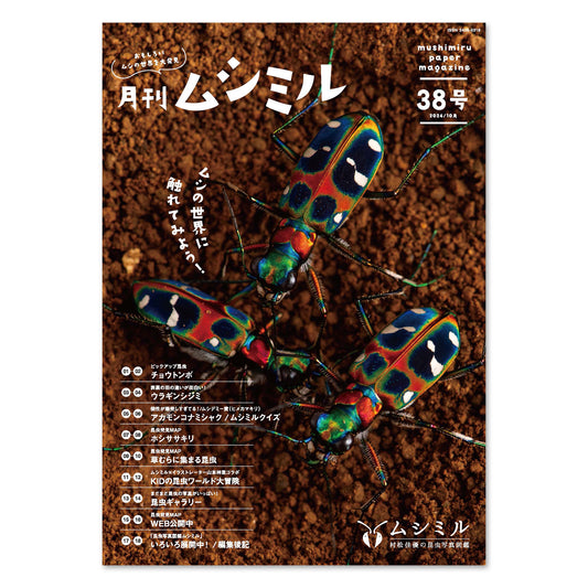 【38号】月刊ムシミル（2024.10）