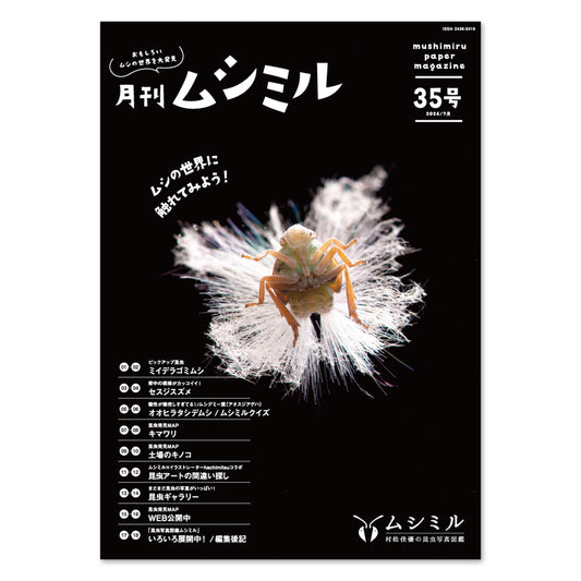 【35号】月刊ムシミル（2024.7）
