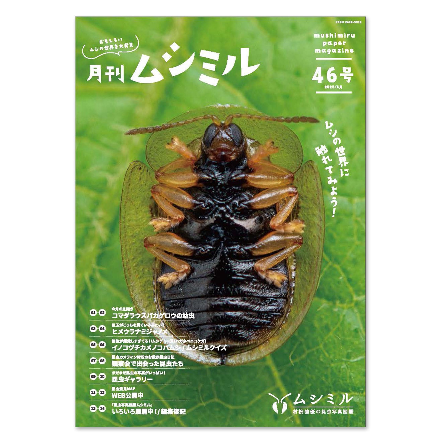 【46号】月刊ムシミル（2025.6）
