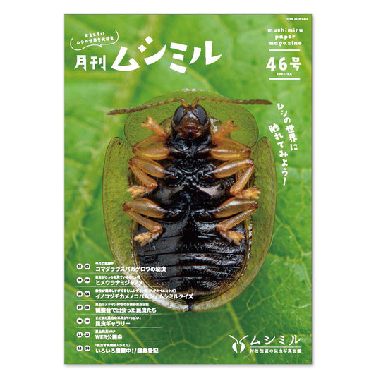 【46号】月刊ムシミル（2025.6）