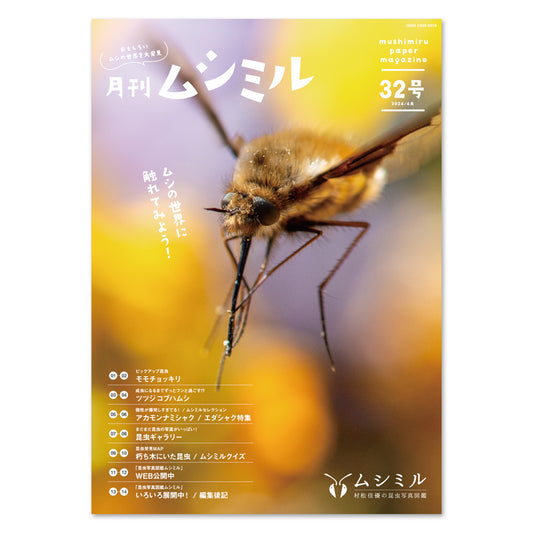 【32号】月刊ムシミル（2024.4）