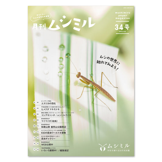 【34号】月刊ムシミル（2024.6）