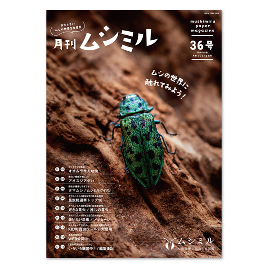 【36号】月刊ムシミル（2024.8）