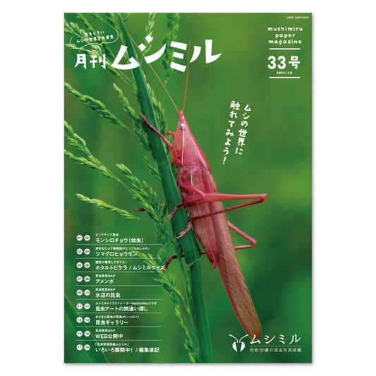 【33号】月刊ムシミル（2024.5）