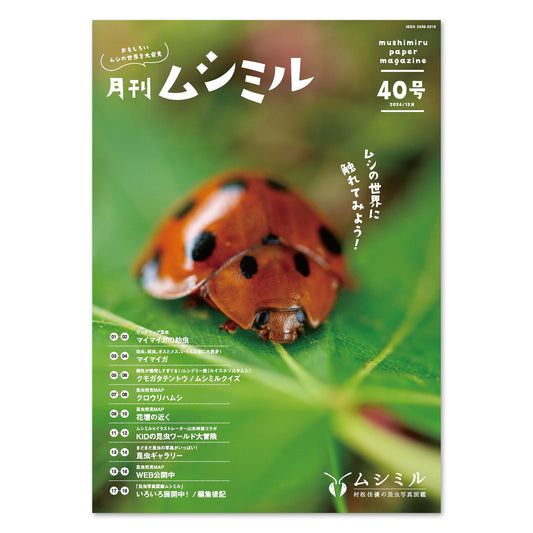 【40号】月刊ムシミル（2024.12）