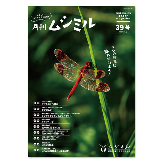 【39号】月刊ムシミル（2024.11）