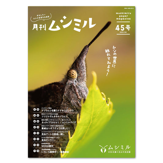 【45号】月刊ムシミル（2025.5）