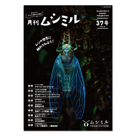 【37号】月刊ムシミル（2024.9）