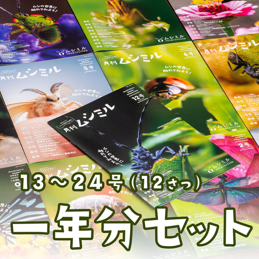【一年分セット②】月刊ムシミル13～24号（12冊）2022年9月～2023年8月まで【送料無料】