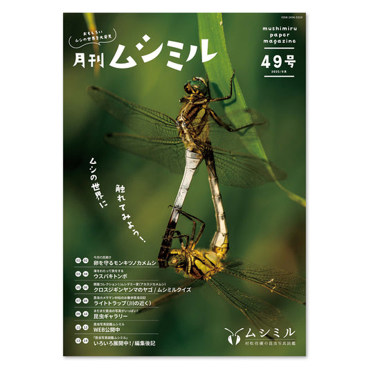 【49号】月刊ムシミル（2025.9）