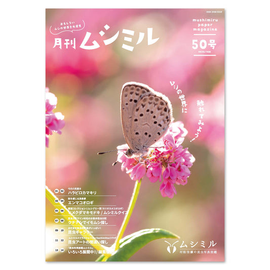 【50号】月刊ムシミル（2025.10）