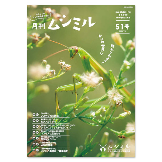 【51号】月刊ムシミル（2025.11）