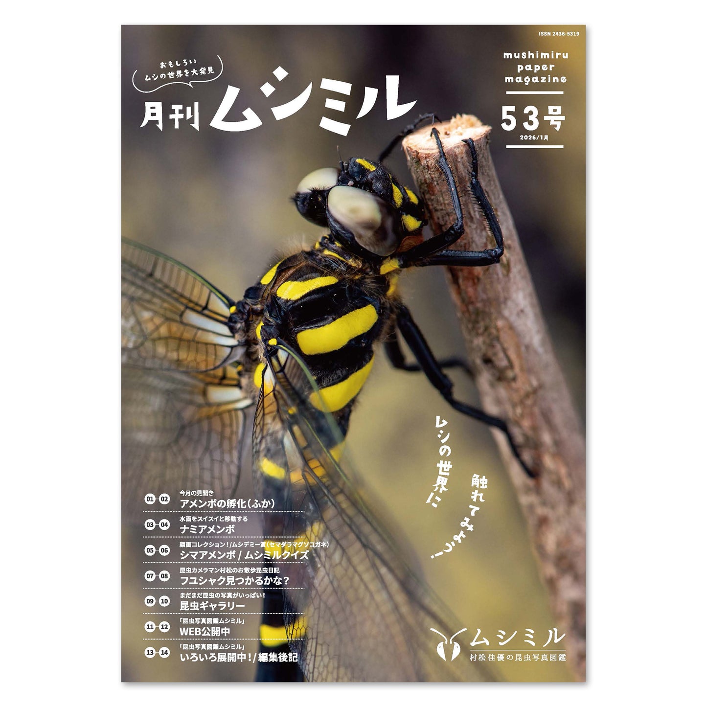 【53号】月刊ムシミル（2026.1）