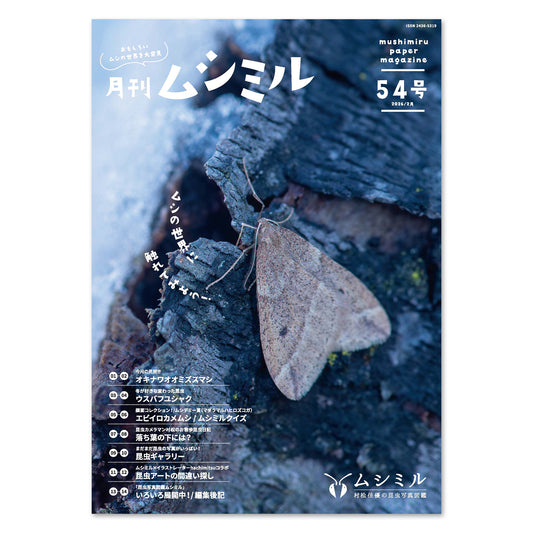 【54号】月刊ムシミル（2026.2）