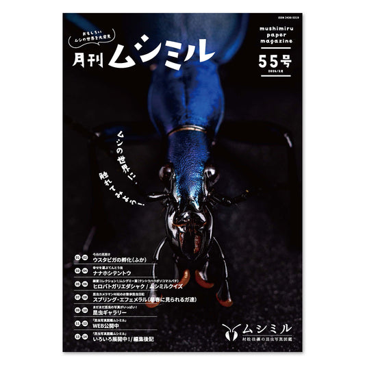 【55号】月刊ムシミル（2026.3）