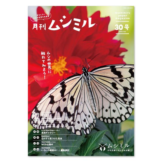 【30号】月刊ムシミル（2024.2）