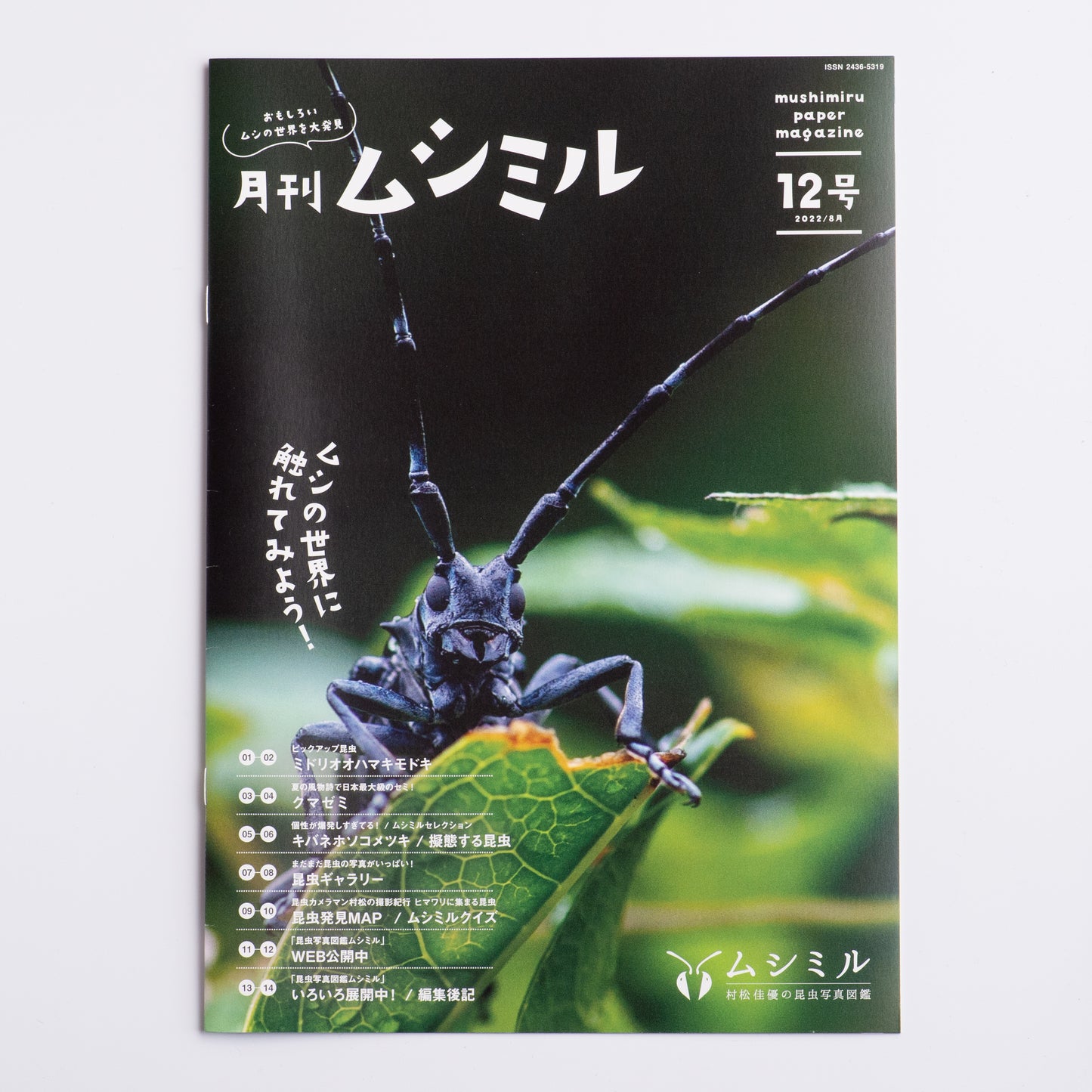 【12号】月刊ムシミル（2022.8）